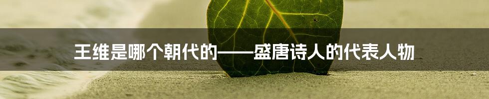 王维是哪个朝代的——盛唐诗人的代表人物