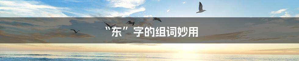 “东”字的组词妙用