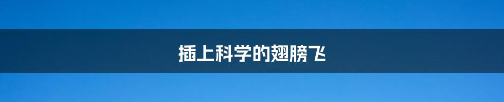 插上科学的翅膀飞