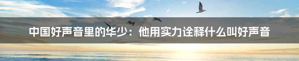 中国好声音里的华少：他用实力诠释什么叫好声音