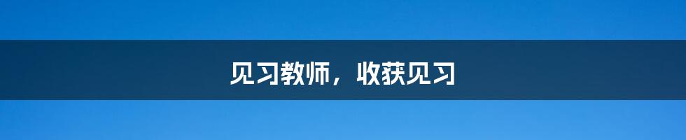 见习教师,收获见习