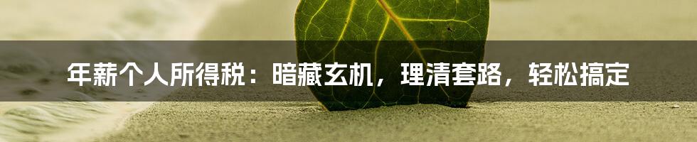 年薪个人所得税：暗藏玄机，理清套路，轻松搞定