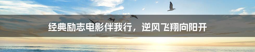 经典励志电影伴我行,逆风飞翔向阳开