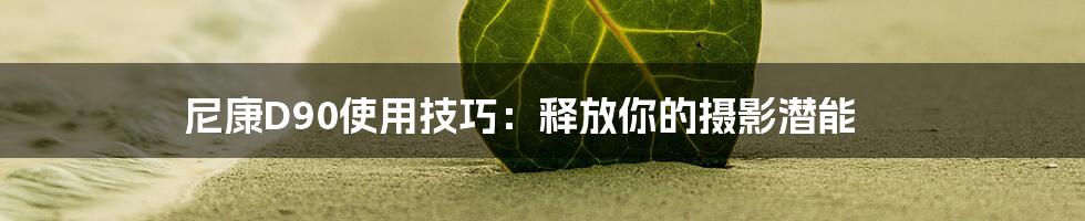 尼康D90使用技巧:释放你的摄影潜能