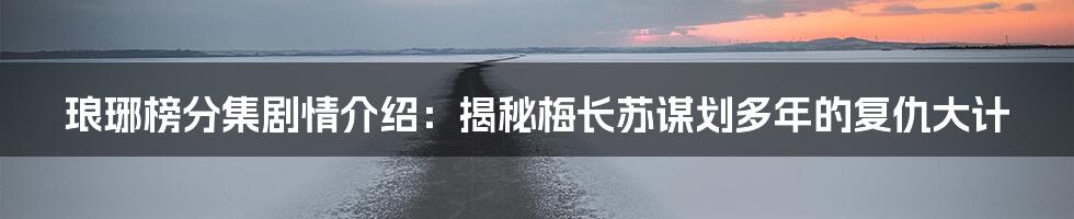 琅琊榜分集剧情介绍:揭秘梅长苏谋划多年的复仇大计