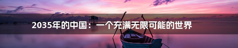 2035年的中国:一个充满无限可能的世界