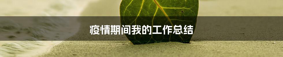 疫情期间我的工作总结