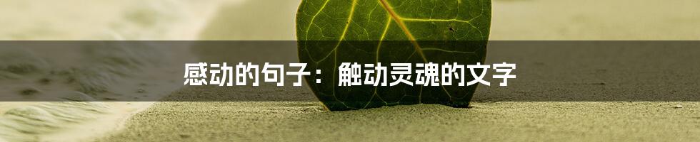 感动的句子:触动灵魂的文字