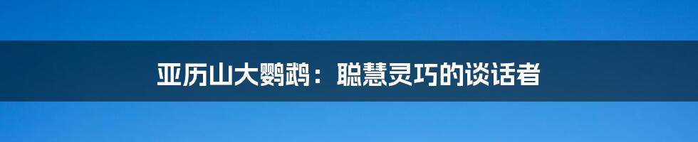 亚历山大鹦鹉：聪慧灵巧的谈话者