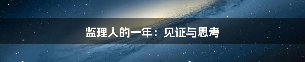 监理人的一年:见证与思考