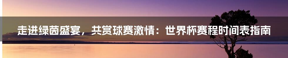 走进绿茵盛宴,共赏球赛激情:世界杯赛程时间表指南