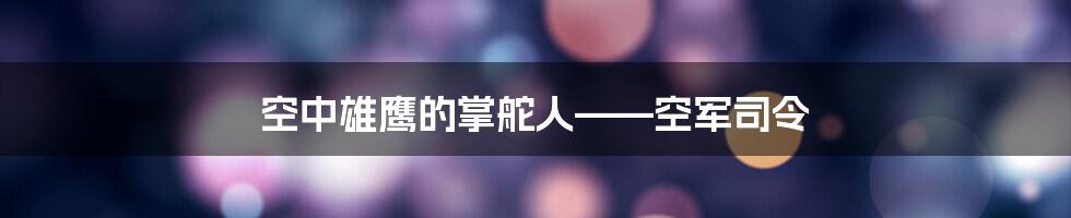 空中雄鹰的掌舵人——空军司令