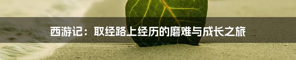 西游记:取经路上经历的磨难与成长之旅