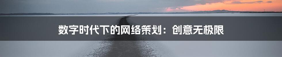 数字时代下的网络策划:创意无极限