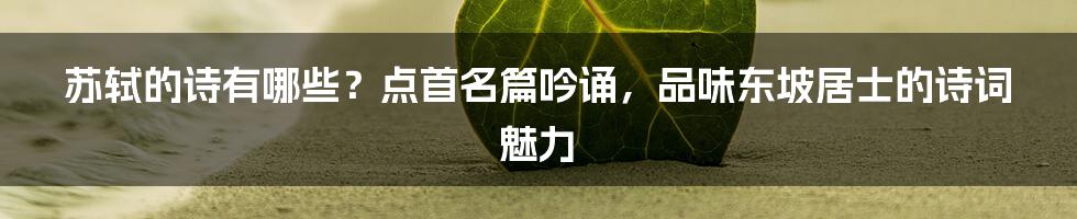 苏轼的诗有哪些？点首名篇吟诵，品味东坡居士的诗词魅力