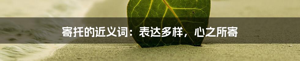 寄托的近义词:表达多样,心之所寄