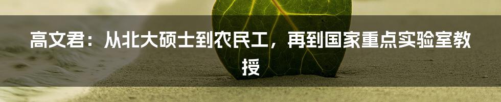 高文君:从北大硕士到农民工,再到国家重点实验室教授