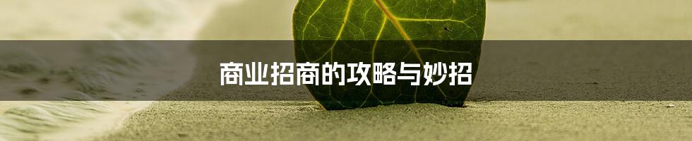 商业招商的攻略与妙招