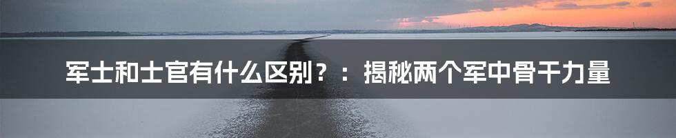 军士和士官有什么区别？：揭秘两个军中骨干力量