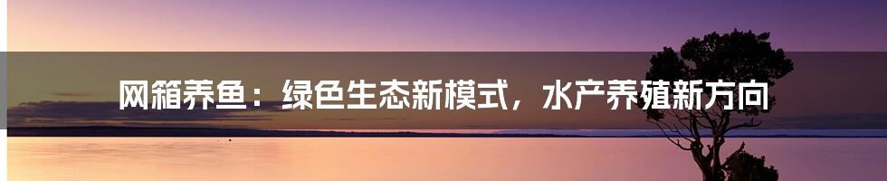 网箱养鱼:绿色生态新模式,水产养殖新方向