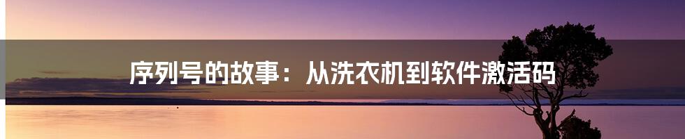 序列号的故事：从洗衣机到软件激活码