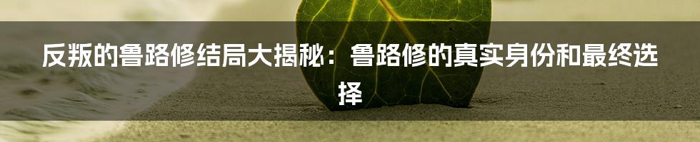 反叛的鲁路修结局大揭秘:鲁路修的真实身份和最终选择