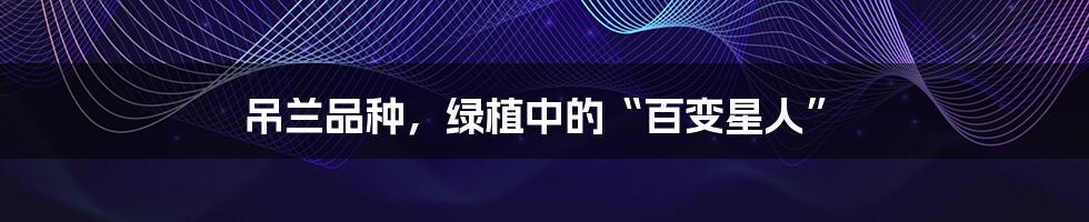 吊兰品种，绿植中的“百变星人”