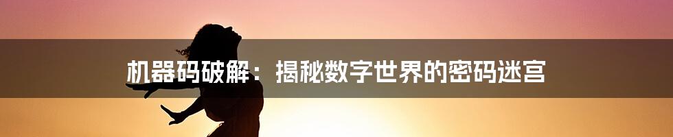 机器码破解：揭秘数字世界的密码迷宫