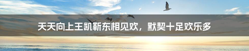 天天向上王凯靳东相见欢,默契十足欢乐多