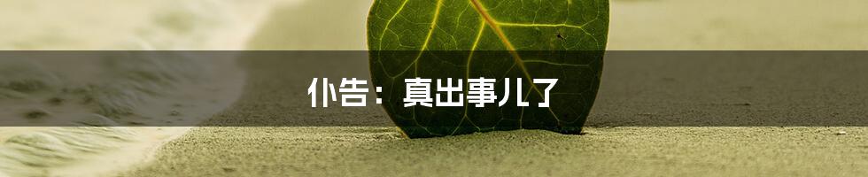 仆告：真出事儿了
