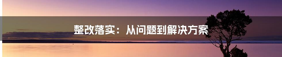 整改落实：从问题到解决方案