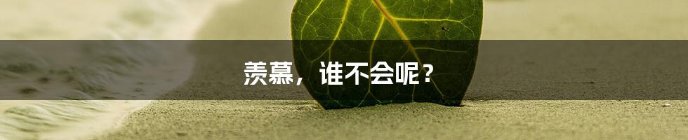 羡慕,谁不会呢?