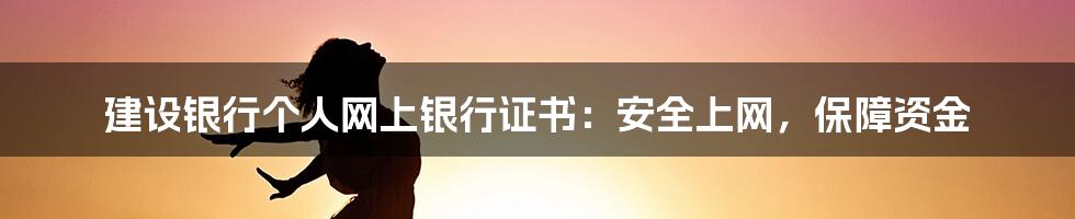 建设银行个人网上银行证书：安全上网，保障资金