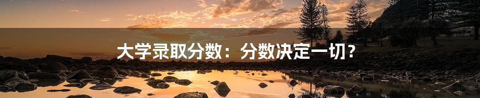 大学录取分数:分数决定一切?