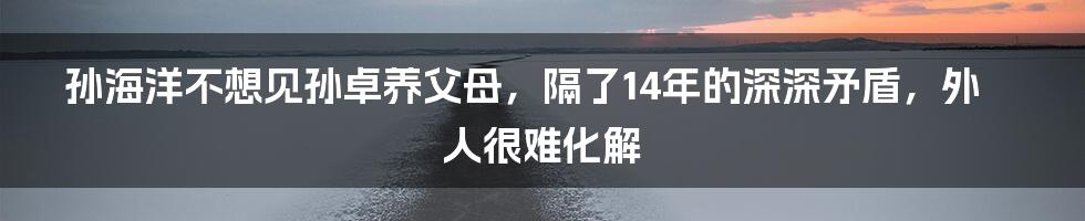 孙海洋不想见孙卓养父母，隔了14年的深深矛盾，外人很难化解