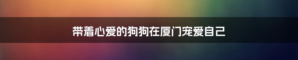 带着心爱的狗狗在厦门宠爱自己