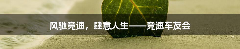 风驰竞速,肆意人生——竞速车友会