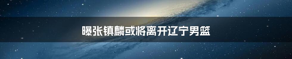 曝张镇麟或将离开辽宁男篮