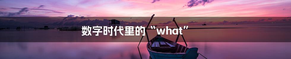 数字时代里的“what”