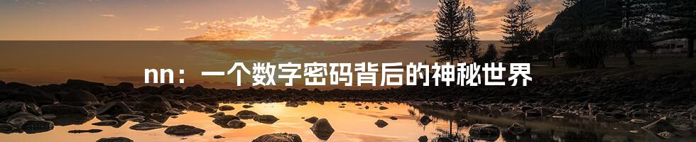 nn:一个数字密码背后的神秘世界