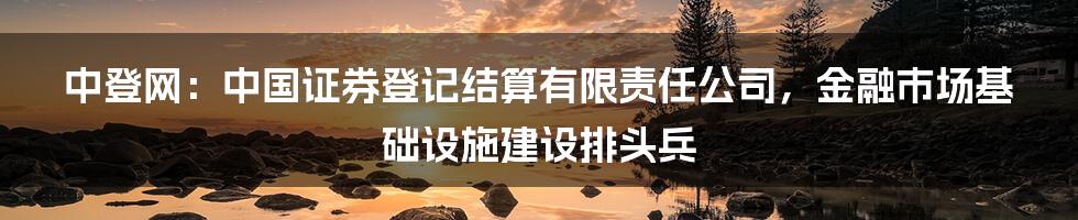 中登网：中国证券登记结算有限责任公司，金融市场基础设施建设排头兵