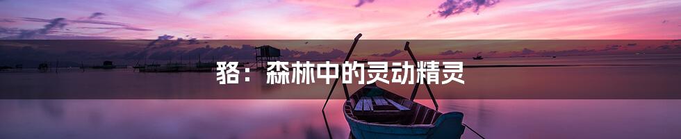 貉:森林中的灵动精灵