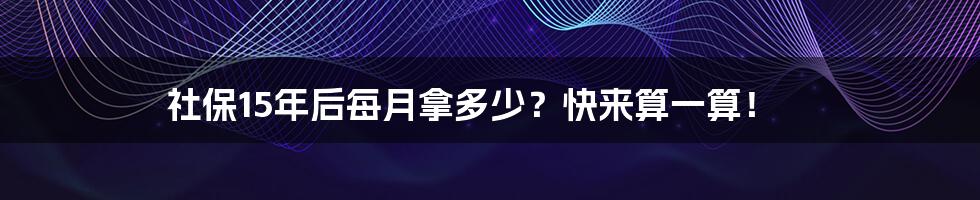 社保15年后每月拿多少？快来算一算！