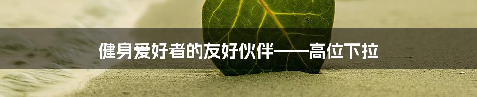 健身爱好者的友好伙伴——高位下拉