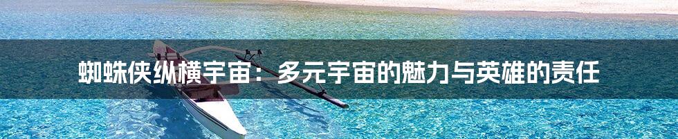 蜘蛛侠纵横宇宙：多元宇宙的魅力与英雄的责任