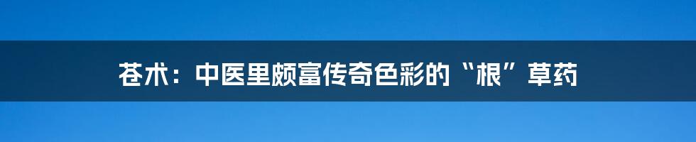 苍术:中医里颇富传奇色彩的“根”草药