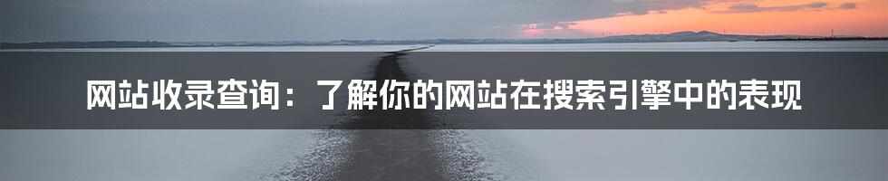 网站收录查询:了解你的网站在搜索引擎中的表现