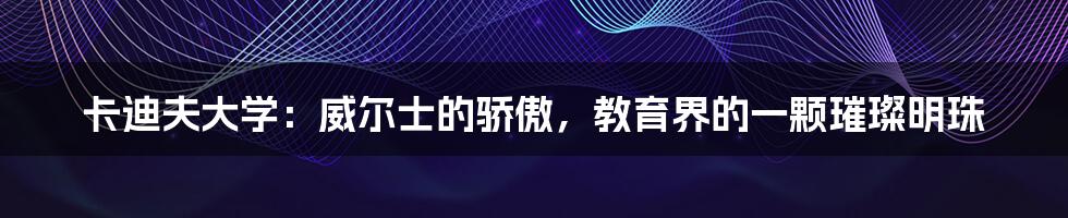 卡迪夫大学:威尔士的骄傲,教育界的一颗璀璨明珠