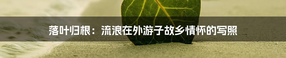 落叶归根:流浪在外游子故乡情怀的写照