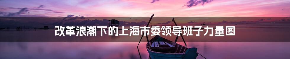 改革浪潮下的上海市委领导班子力量图